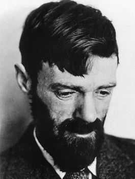David H. Lawrence David H. Lawrence